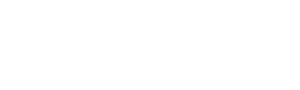 The Standard Logo